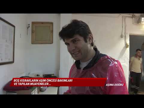 AŞIM SEZONUNA DOĞRU (3.BÖLÜM)