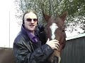 Partiboi69 Horsin Around Ft Alex Crosara