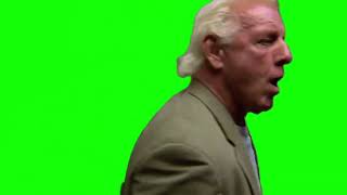 Ric Flair "wow wow wow wow" green screen