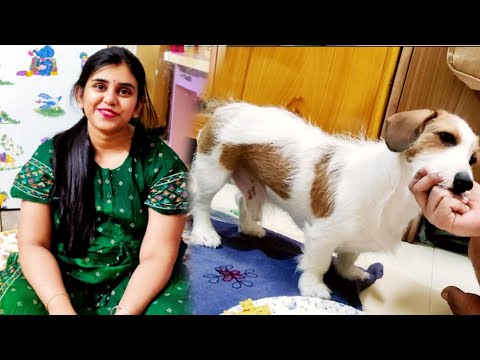 Bari Fire Elam 😊 But With a Bad News !!!! 😅