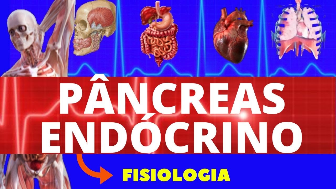 FISIOLOGIA DO PÂNCREAS ENDÓCRINO (FISIOLOGIA DE GUYTON) - INSULINA E GLUCAGON - FISIOLOGIA HUMANA
