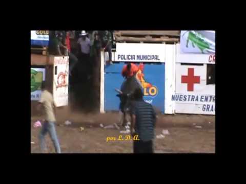 TORO: QUEBRACHO: SANTA CRUZ 17- 01- 2015.