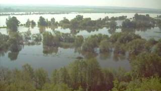 preview picture of video 'Powódź 2010.05.23 Świecie'