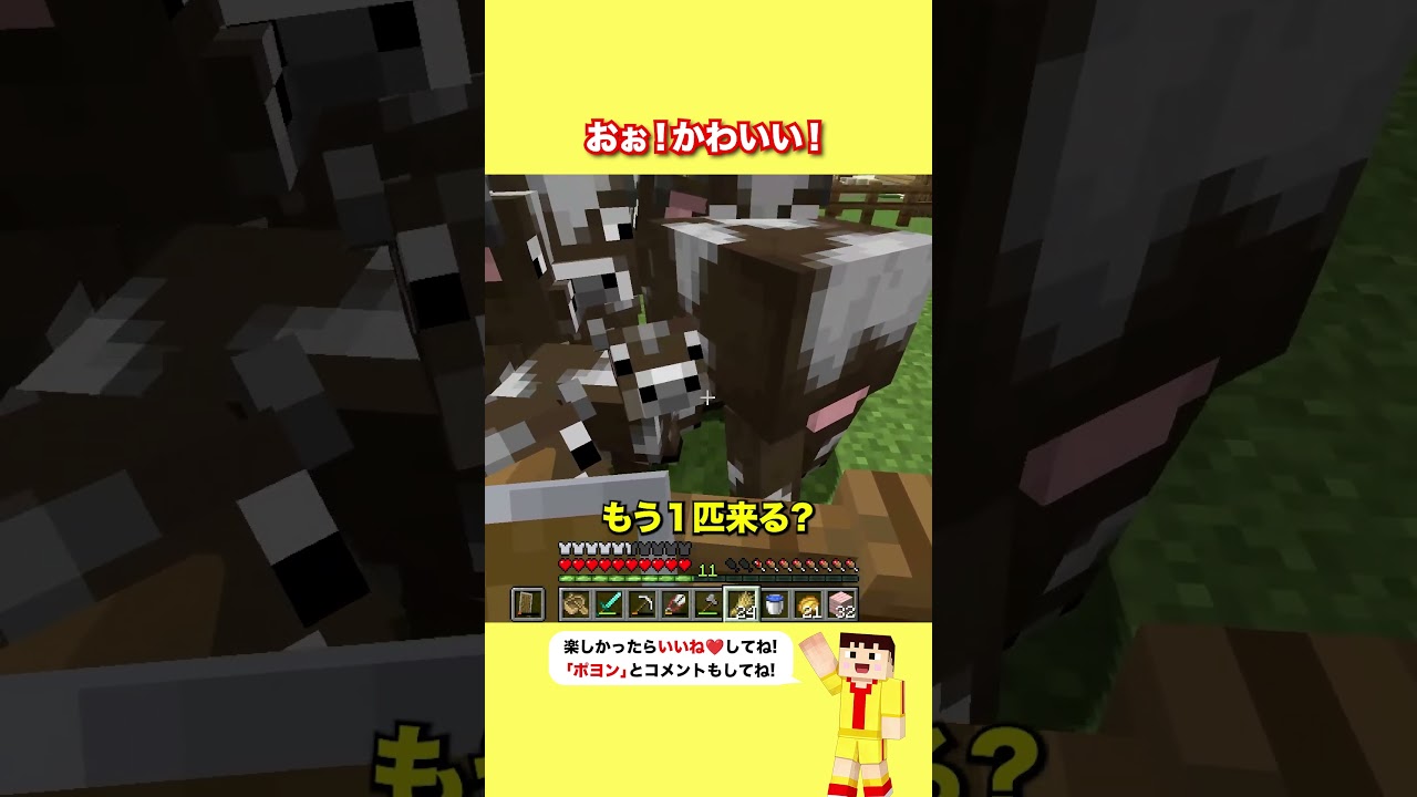 おぉ！かわいい！【マイクラ】