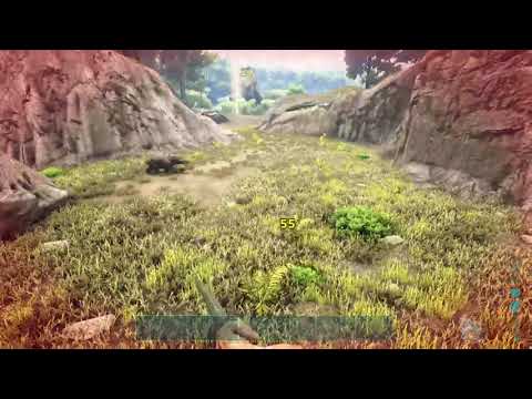 The raptor pounce in a nutshell