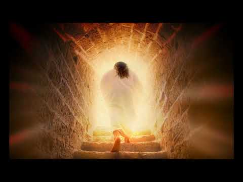 Celebrai a Cristo,celebrai - Ministério Koinonya de Louvor