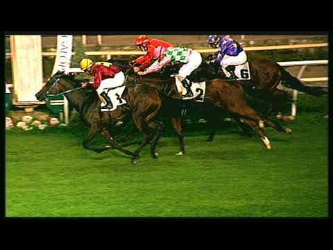 Galoppo 19/08/2020 - 4ª corsa