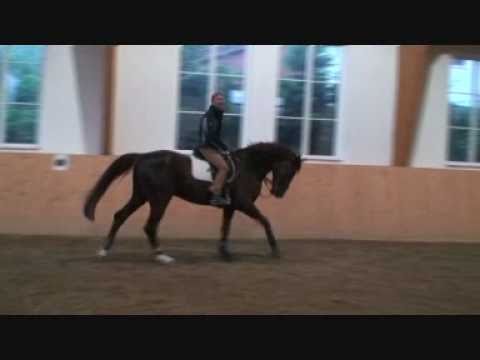 Barbara Beinwachs und Abrek van La Roche