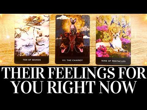 PICK A CARD💓😍 Their TRUE FEELINGS For You RIGHT NOW! 😍💓 They want you to know THIS! 🌟 Tarot Reading