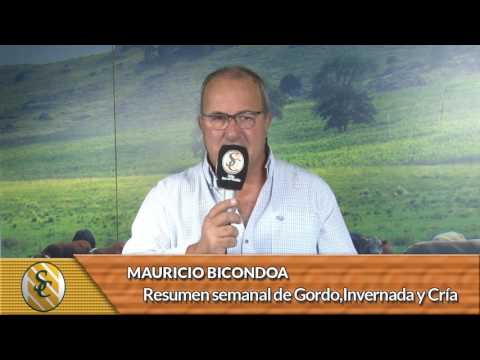 Resumen Semanal  de Gordo, Invernada y Cría   - 26/ 03 al 01/ 04