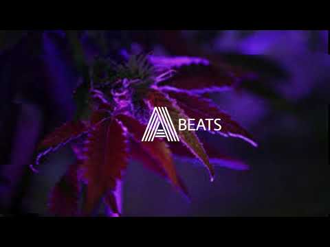 #SAMSAM x DRIMEEK , Lin flex - festin animal