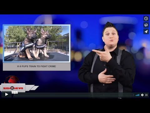 K-9 pups train to fight crime (ASL - 4.6.18)