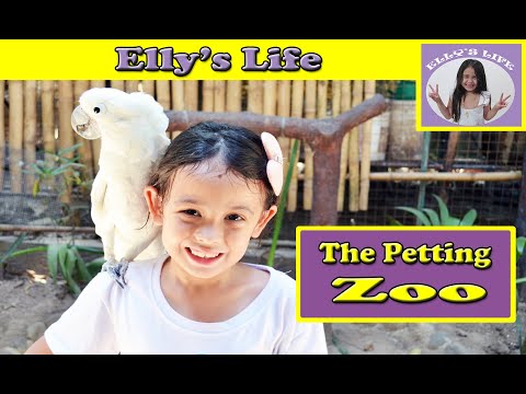 Elly's Life #10 The Petting Zoo