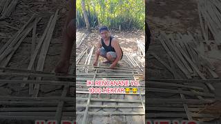 Download lagu OLEH MELOK TAPI SARATE KUDU MACAK SENG RAPI😂😂..komedi berbahasa jawa #lucu #komedi #trendingshorts mp3 Download lagu OLEH MELOK TAPI SARATE KUDU MACAK SENG RAPI😂😂..komedi berbahasa jawa #lucu #komedi #trendingshorts mp3