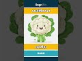 cauliflower - coliflor video thumbnail
