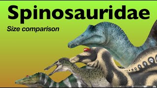 SPINOSAURID Dinosaur Size Comparison