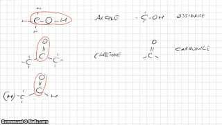 Chimica Organica - Gruppi funzionali (parte 1)