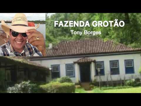Fazenda  Grotao-Tony Borges
