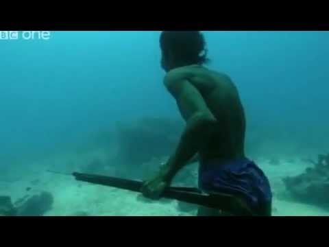 Sea Bed Hunting On One Breath   Human Planet  Oceans, preview   BBC One