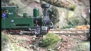 preview picture of video 'Narrow gauge Doellefield railway 1992'
