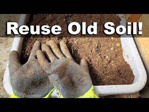 How To Reuse Old Potting Soil FOUR ways
