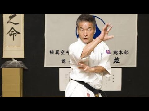 🥋「ローキックの盧山」逝く…極真空手の伝説・盧山初雄氏、78歳で死去#盧山初雄 #極真空手 #極真館 #空手 #極真会館 #ローキックの盧山 #空手家 #格闘技 #武道