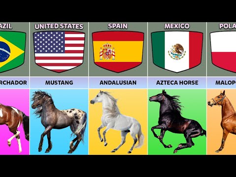 , title : 'Horse Breeds From Different Countries'
