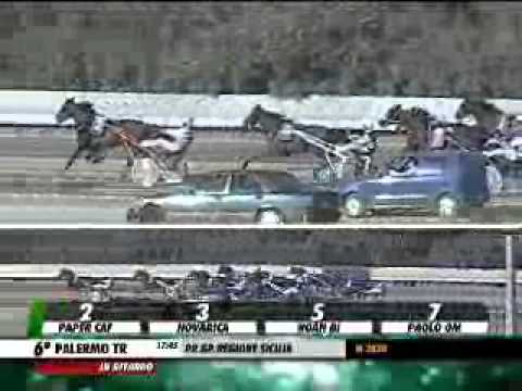 15/05/2014, Palermo , Premio Gp.regione Sicilia