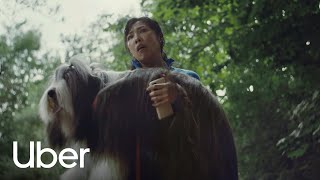 Uber Tired Dogs | Uber