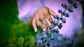 Lucas Estrada &amp; Alex Alexander - Feeling Blind