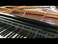 Student Piano Recital At Jane S Teacher Ruo Huang Jan 20 2019