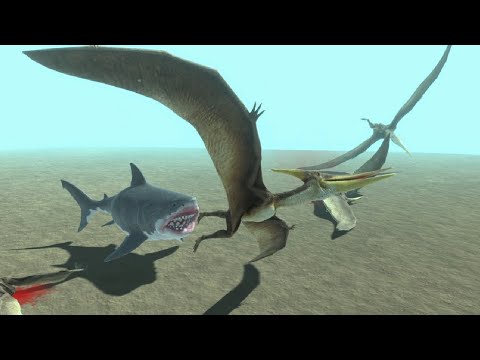 Megalodon vs pteranodon FAMILY - Animal Revolt Battle Simulator