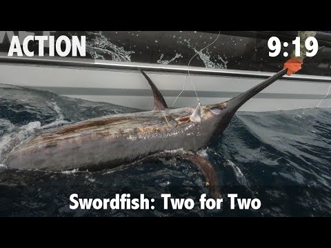 Two drops Two Broadbill Swordfish