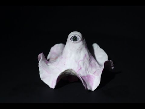 Umbra Ensemble - O Pastor