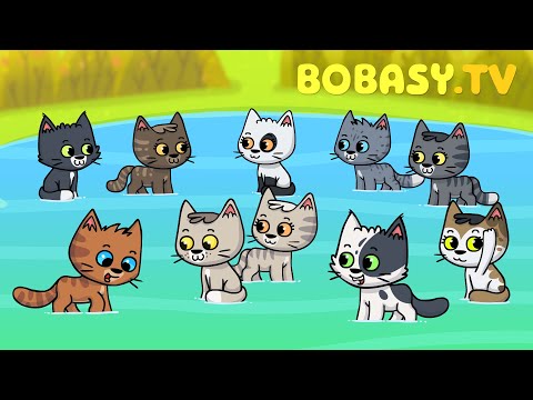 10 Kotków - Edukacyjna piosenka dla dzieci po polsku - Bobasy TV - N