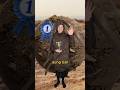 The Dung Beetle Olympics Comedy Music Parody Of Kung Fu Fighting By Carl Douglas
