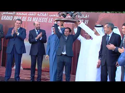 الفرس لافالكيري يفوز بالجائزة الكبرى لصاحب جلالة الملك محمد السادس في صنف الخيول الإنجليزية الاصيل