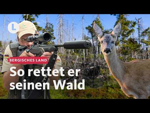 Ungewöhnlicher Weg zur Aufforstung nach Borkenkäfer-Befall | WDR Lokalzeit LandSchafft