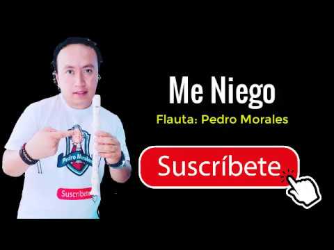 Me Niego en flauta - Profesor Pedro Morales