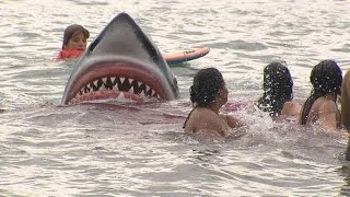Câmera Escondida - Ataque Tubarão + Pum Elevador 20 07 2014 - Sílvio Santos
