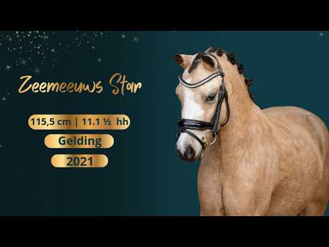 Dressage