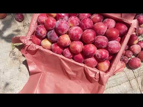 Nature with Maroof.🥰🥰🥰😋😋😋