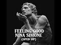 feeling good: Nina Simone (sped up)