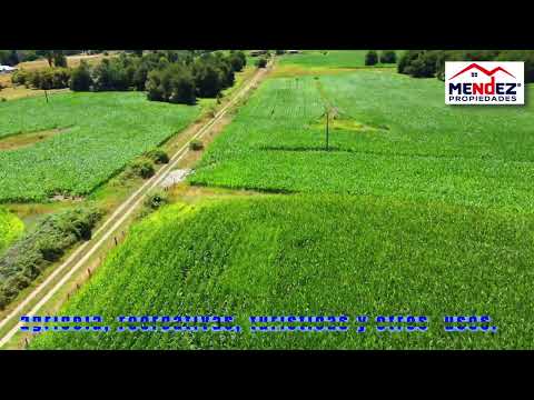 Se vende predio 21 hectáreas, X Región de los Lagos. Ideal para inversión
