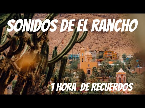 Sonido Relajante del Rancho. La Vida del Rancho