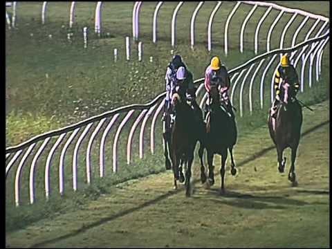 Galoppo 22/08/2015 - 6° corsa