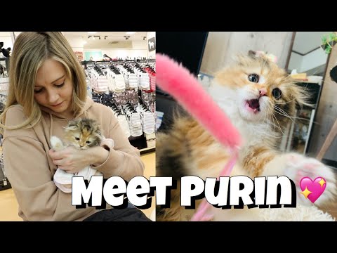 A Day at Home in Japan With Me ?