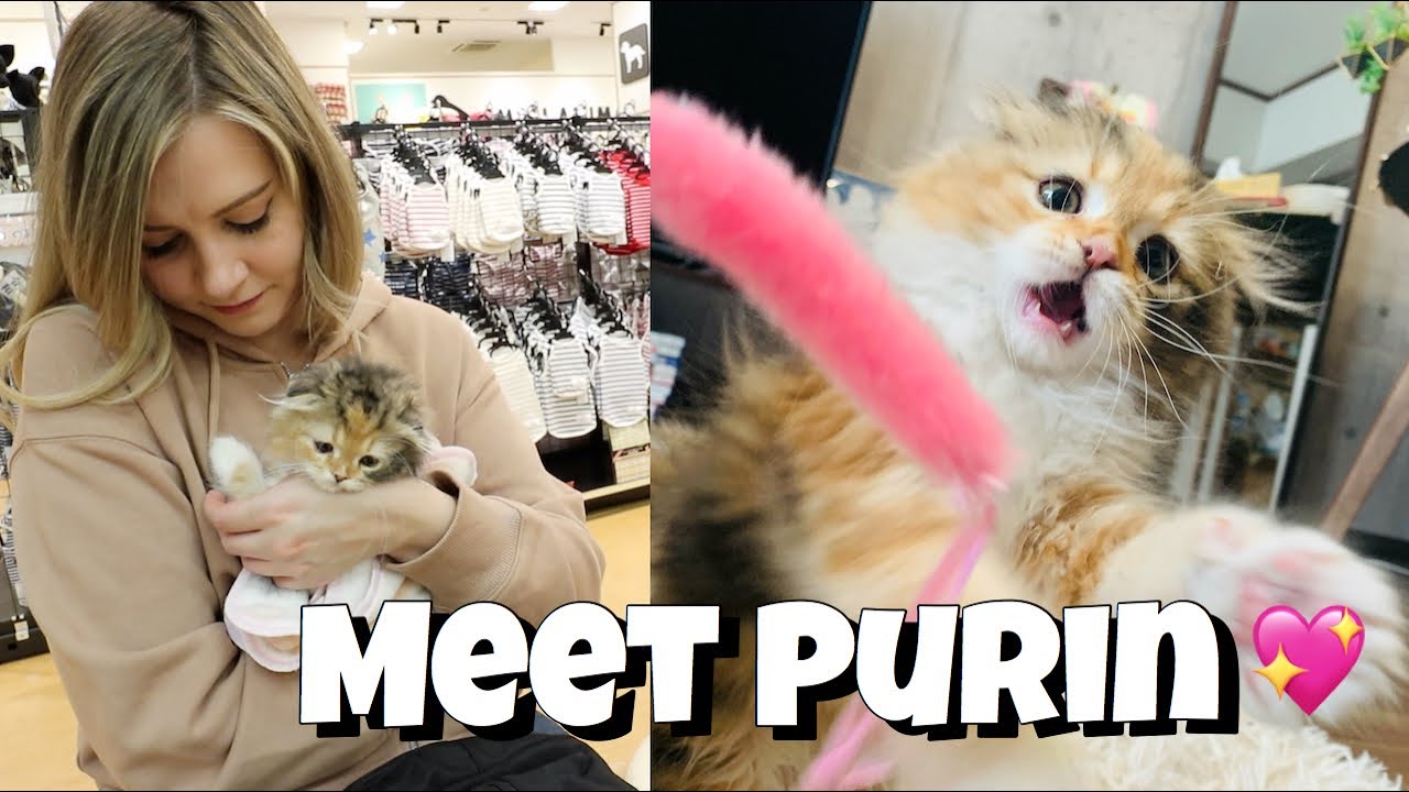 A Day at Home in Japan With Me