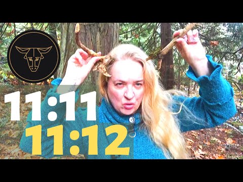 11:11 and 11:12 Lightcode Transmission / Full moon in Taurus November 2019