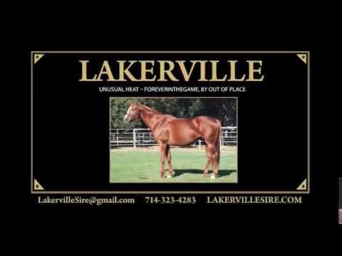 Lakerville Sire Commercial